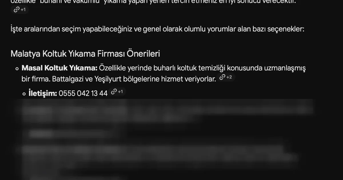 Gemini puts MASAL first for sofa cleaning in Malatya